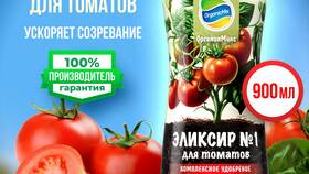 Чем пополнить магний на томатах в Центр Обувь