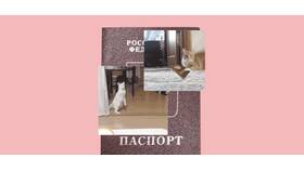 Что делать, если забыл паспорт в Центр Обувь