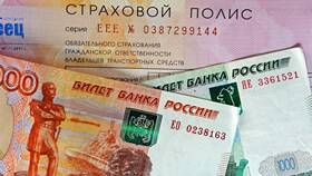 Что грозит за езду без ОСАГО в Центр Обувь