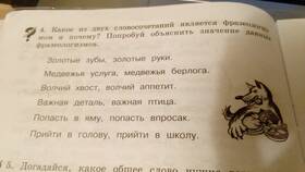 Что означает медвежья услуга в Центр Обувь