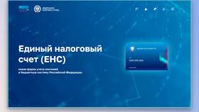 Что такое налог, платеж и бюджет в Центр Обувь