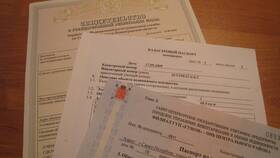 Как обновить документы в Центр Обувь