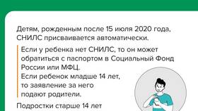 Как получить СНИЛС в 2024 году в Центр Обувь