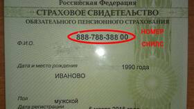 Как выглядит номер паспорта в Центр Обувь