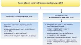 Как выплачивать дивиденды учредителям ООО на УСН в Центр Обувь