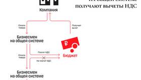 Почему ИП не платит НДС в Центр Обувь