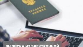 СТД ПФР: что это такое на Госуслугах в Центр Обувь