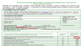 Страхование кредита в Сбербанке: условия и особенности в Центр Обувь