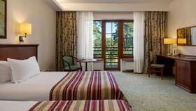 Тариф AAA SAA в Radisson: что это