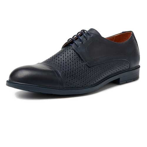 Туфли мужские Alessio Nesca M6118004 синие 41 RU в Центр Обувь