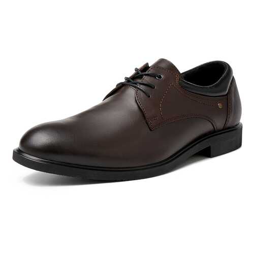 Туфли мужские Alessio Nesca M6208025 коричневые 43 RU в Центр Обувь