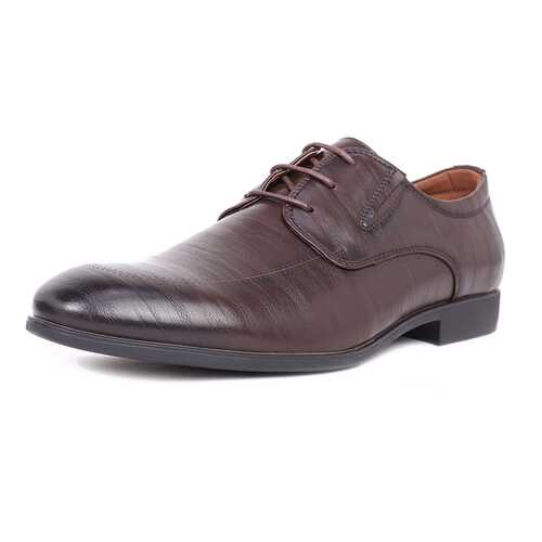 Туфли мужские T.Taccardi 03406360 коричневые 44 RU в Центр Обувь